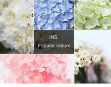Load image into Gallery viewer, Fashion Decoration Car Rearview Mirror Hanging Perfume Pendant Bottle Air Freshener w/ Flower Essential Oils Diffuser for Auto Ornaments