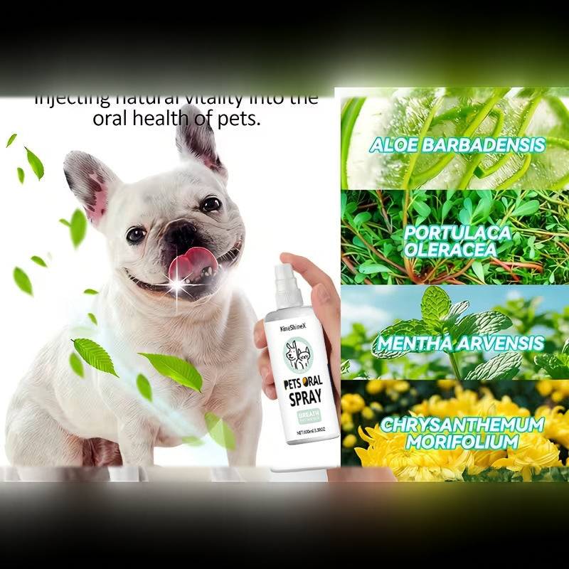 Pet Oral Care Spray, Teeth Cleaning and Breath Freshener for Dogs and Cats, 100ml