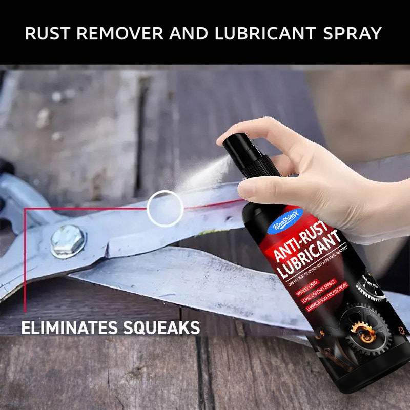 Rust Remover and Lubricant Spray, Multi-Purpose Metal Cleaner and Polisher, 100ml with Cloth