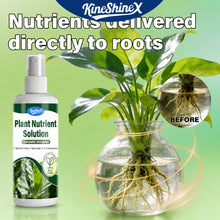 Load image into Gallery viewer, Plant Nutrient Solution Liquid Fertilizer for Potted Hydroponic Indoor Green