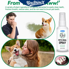 Pet Oral Care Spray Breath Freshener Teeth Cleaning for Dogs and Cats