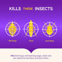 Load image into Gallery viewer, Bed Bug Killer Spray, Treatment for Bedbugs, Eggs, Fleas and Dust Mites, 100ml