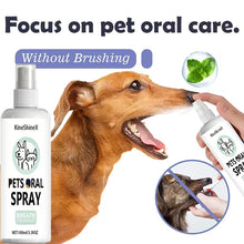 Load image into Gallery viewer, Pet Oral Care Spray, Teeth Cleaning and Breath Freshener for Dogs and Cats, 100ml