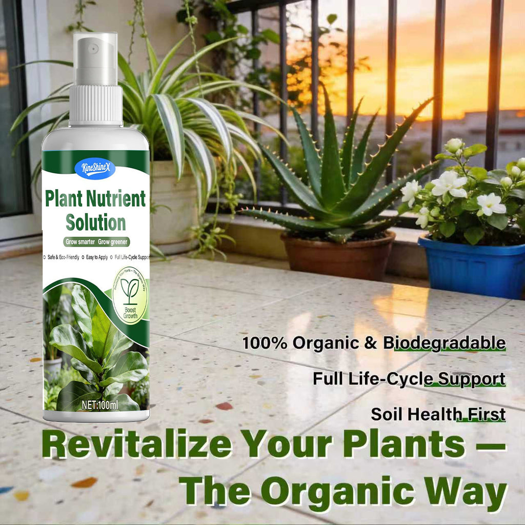 Plant Nutrient Solution Liquid Fertilizer for Potted Hydroponic Indoor Green