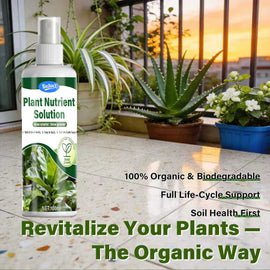 Plant Nutrient Solution Liquid Fertilizer for Potted Hydroponic Indoor Green