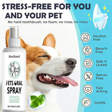 Load image into Gallery viewer, Pet Oral Care Spray, Teeth Cleaning and Breath Freshener for Dogs and Cats, 100ml