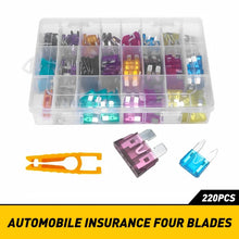 Load image into Gallery viewer, 220Pcs Car Assorted Auto Fuse Replacement regular fuses size blade ATO ATC ATM