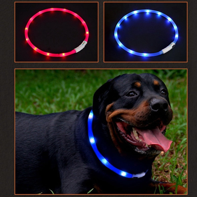 USB Rechargeable Night Safety Warning Illuminated  LED Pet Collar  Dog Adjustable Silicone Collar Cut to Resize
